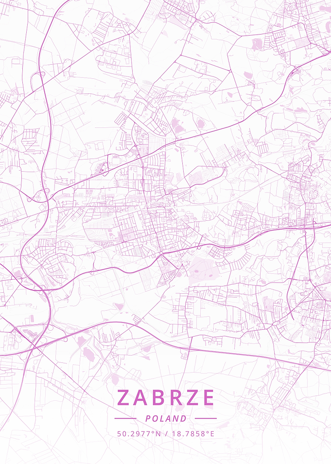 Zabrze Poland