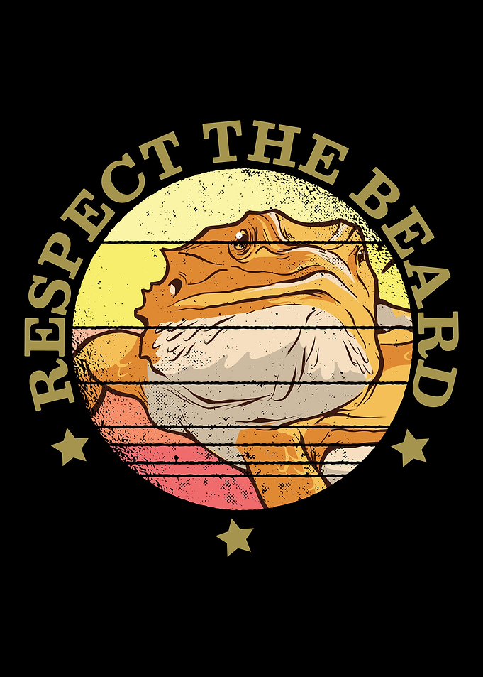 Bearded Dragon Reptile
