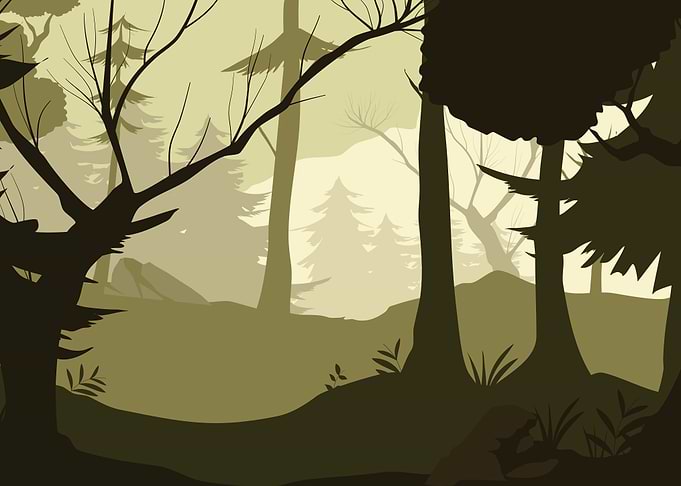 mistery forest