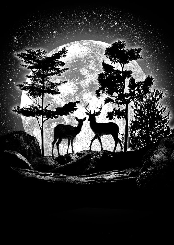 Moonlight Deer