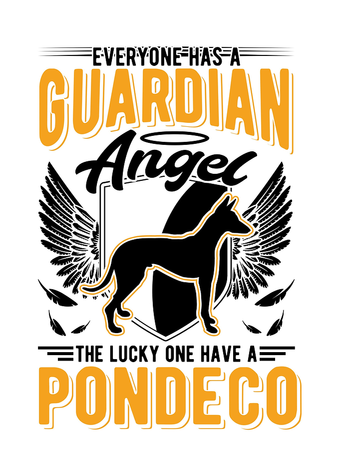 Podenco Schutzhund