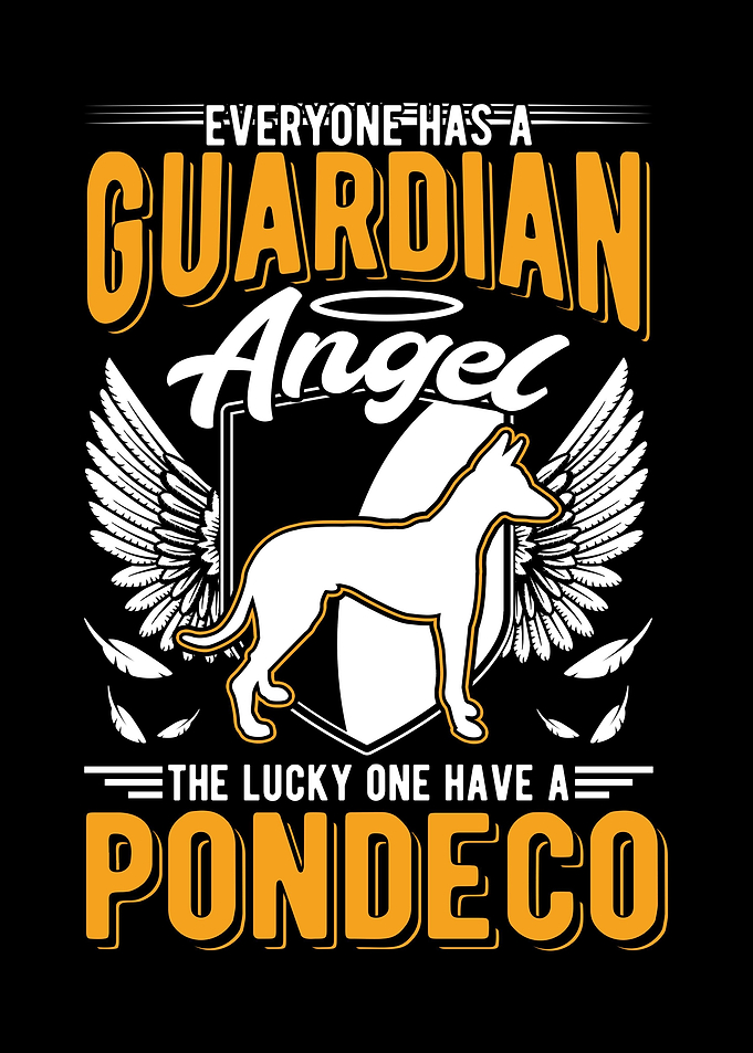 Podenco Schutzhund