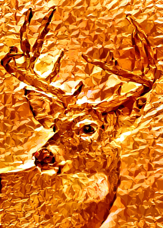 Deer Golden