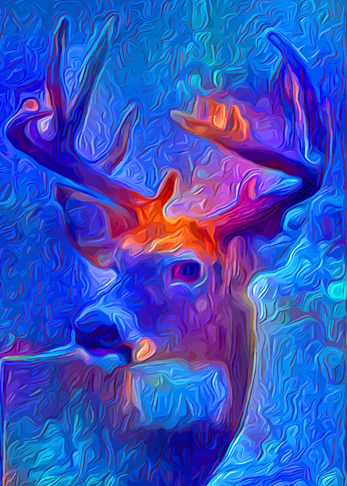 Deer Fairy Night
