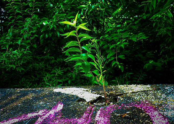 Breaking Through