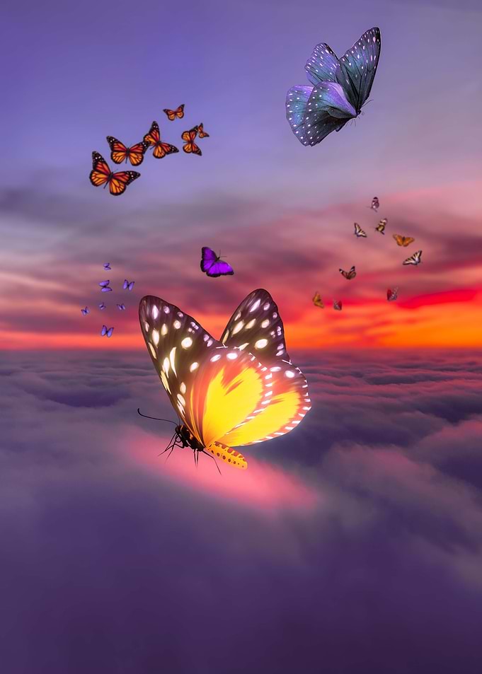 Glowing Butterfly