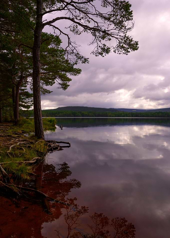 Loch in the Morning