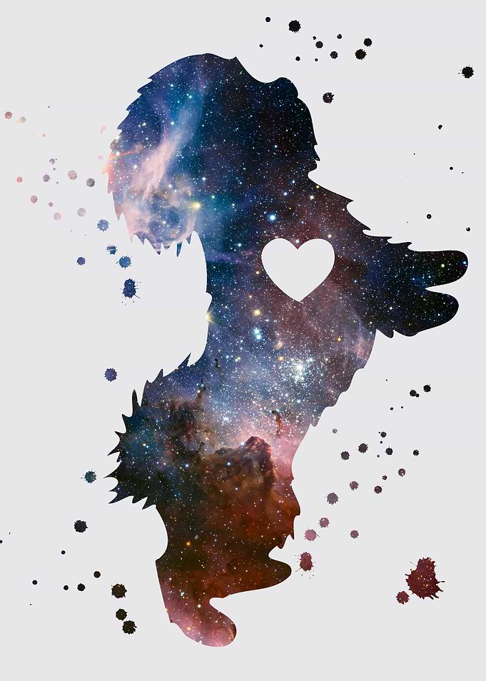 Bichon Frise nebula