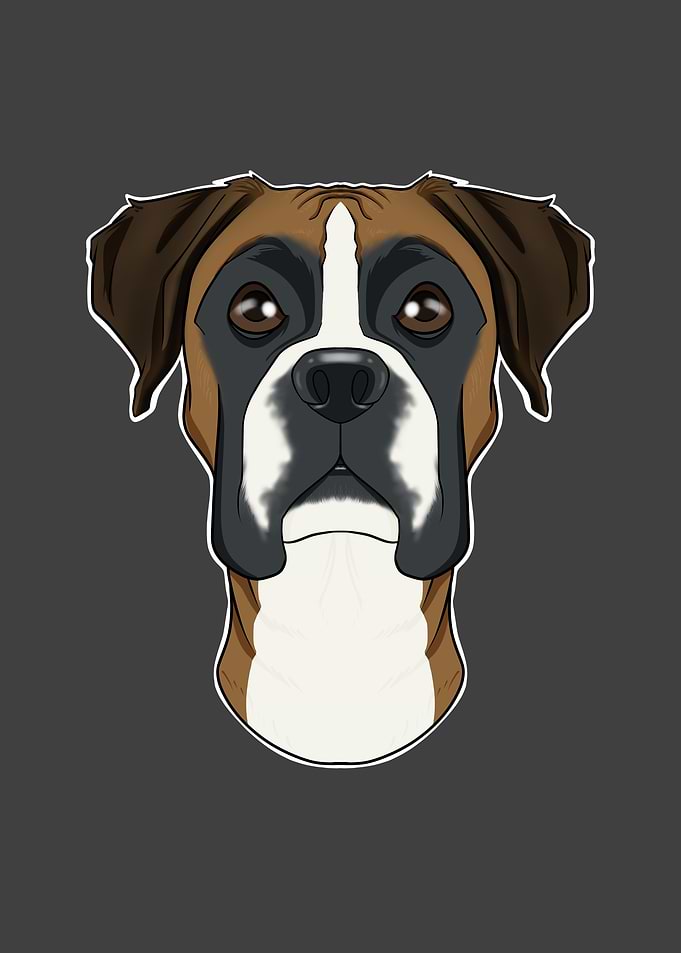 Boxer Lover I Dog Lover