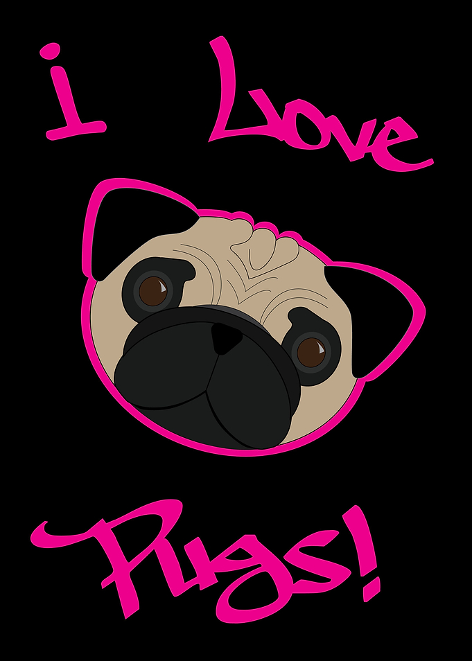I love Pugs