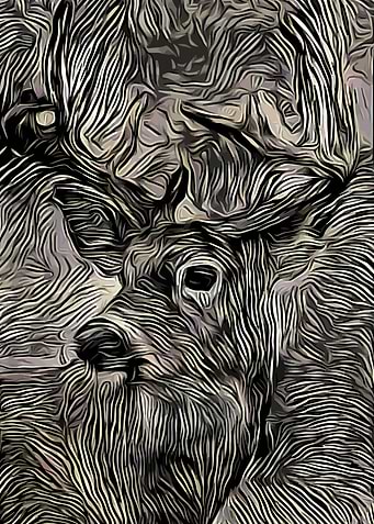 Deer Abstract