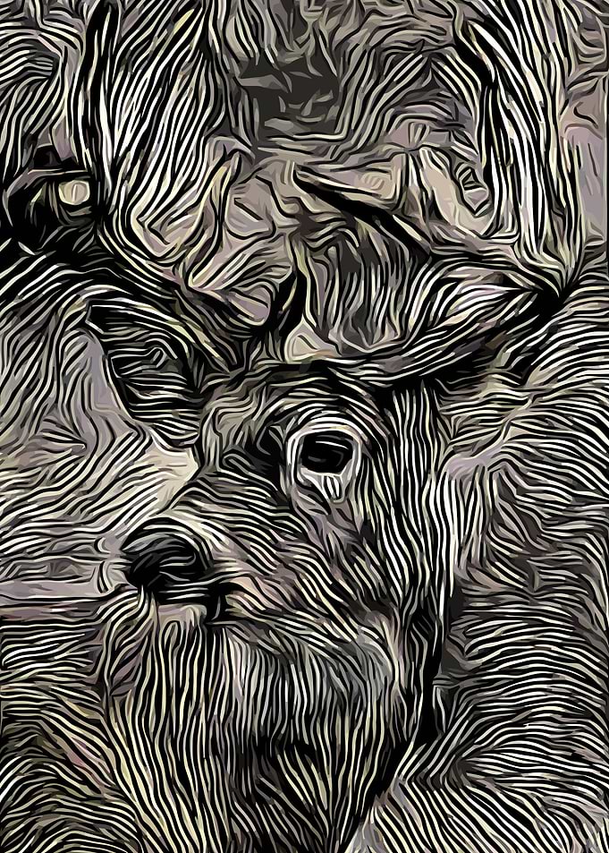 Deer Abstract