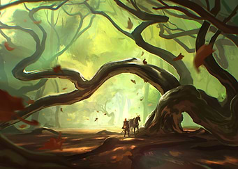Autumn Forest