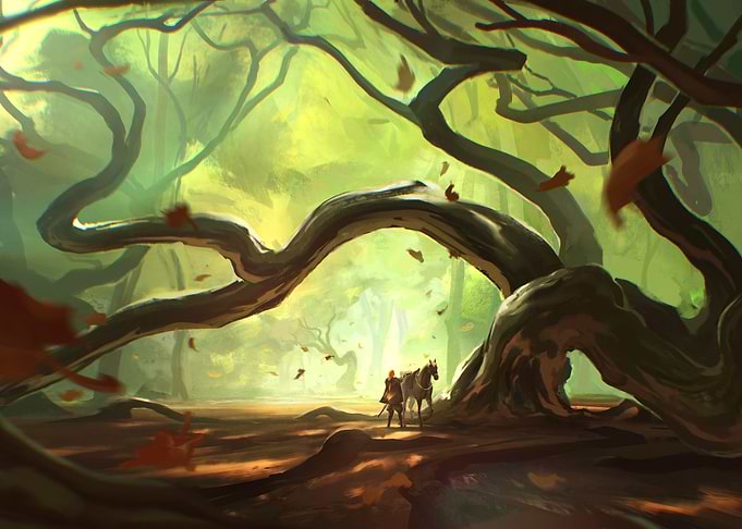 Autumn Forest