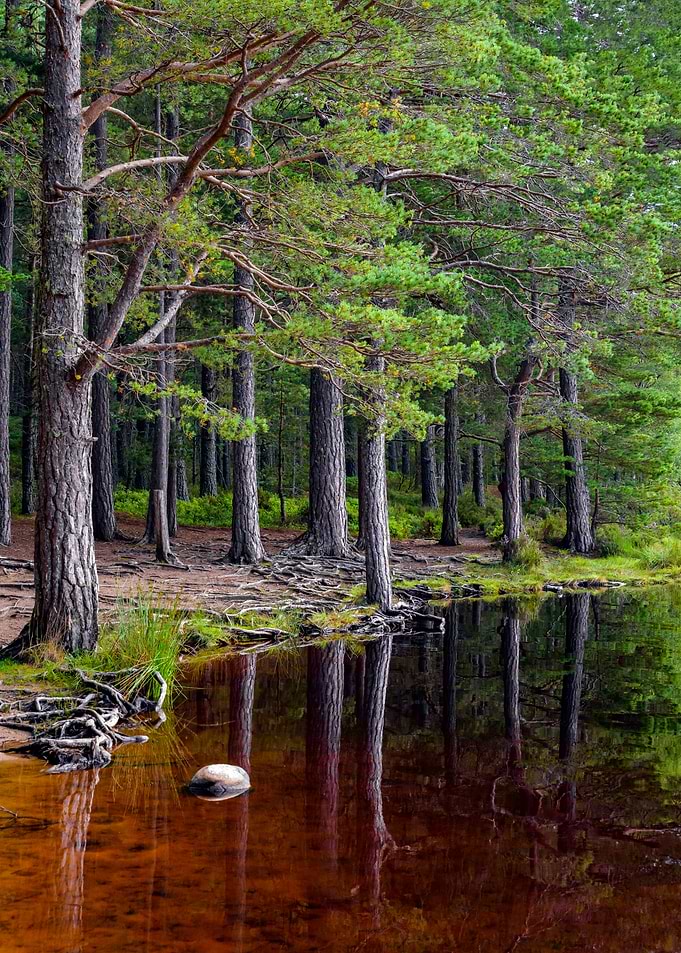 Scotland