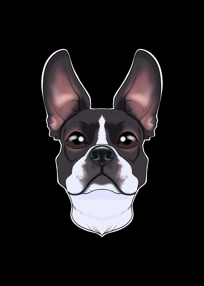 Boston Terrier Lover I Dog
