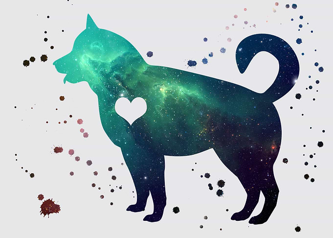 Akita nebula