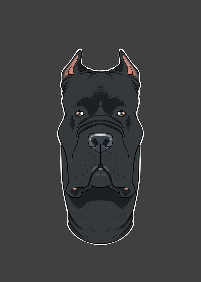 Cane Corso Lover I Dog