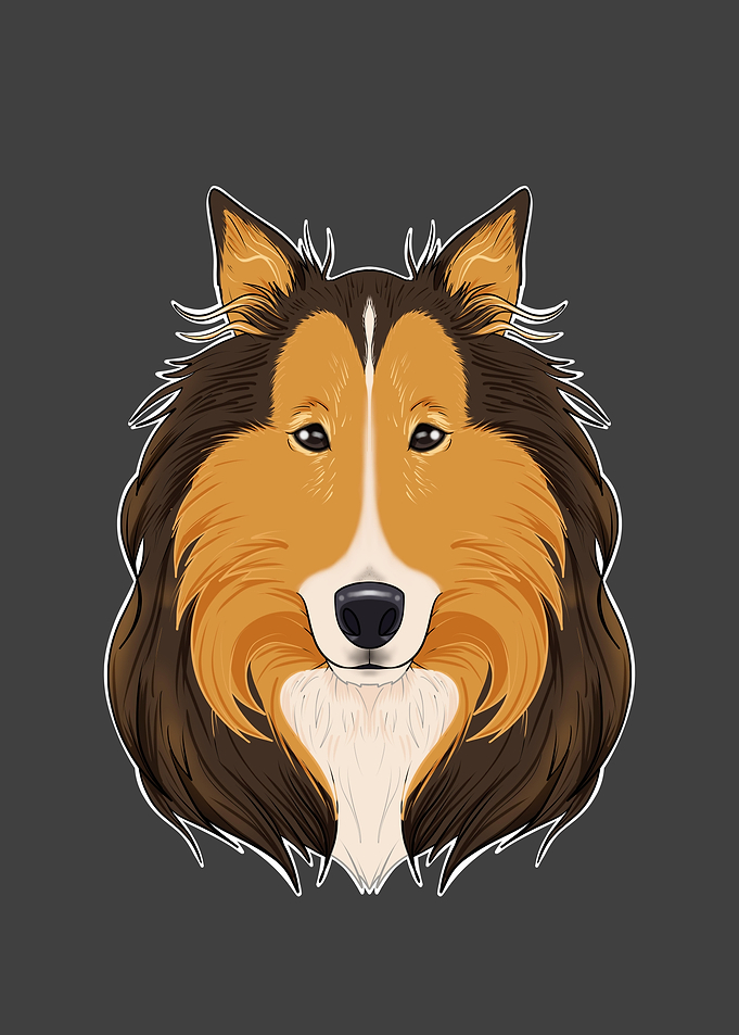 Collie Lover I Dog Lover I