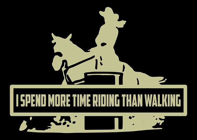 Barrel Racing Show Horse
