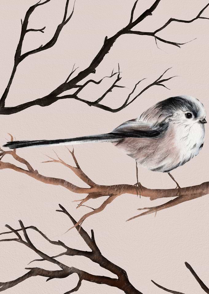 Beautiful bird perches