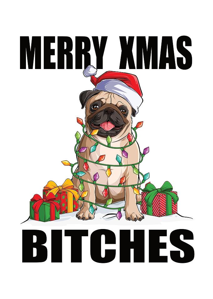 Merry Xmas Bitches Merry