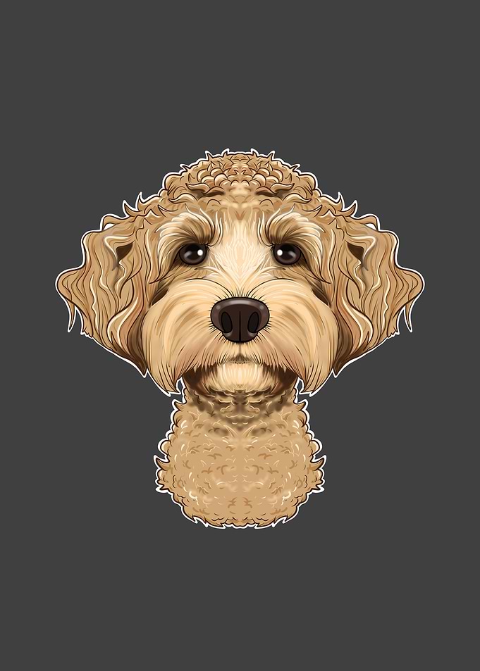 Labaradoodle Lover I Dog