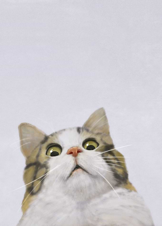 Scared Cat Meme