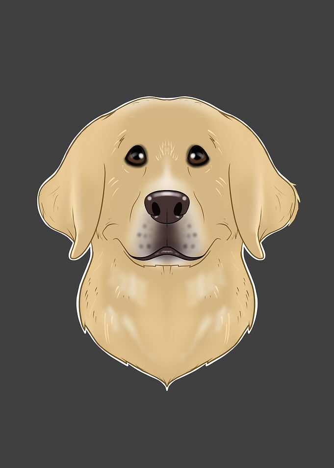 Labrador Lover I Dog Lover