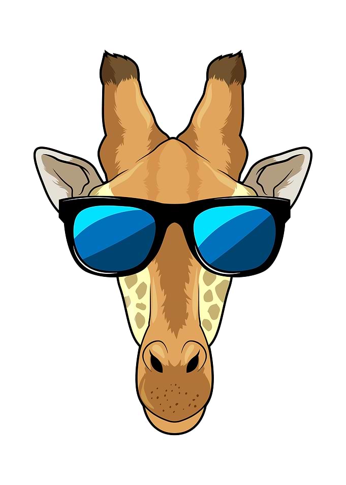 Giraffe Sunglasses
