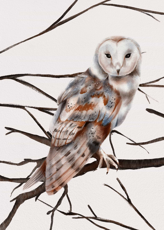 Owl on a branch