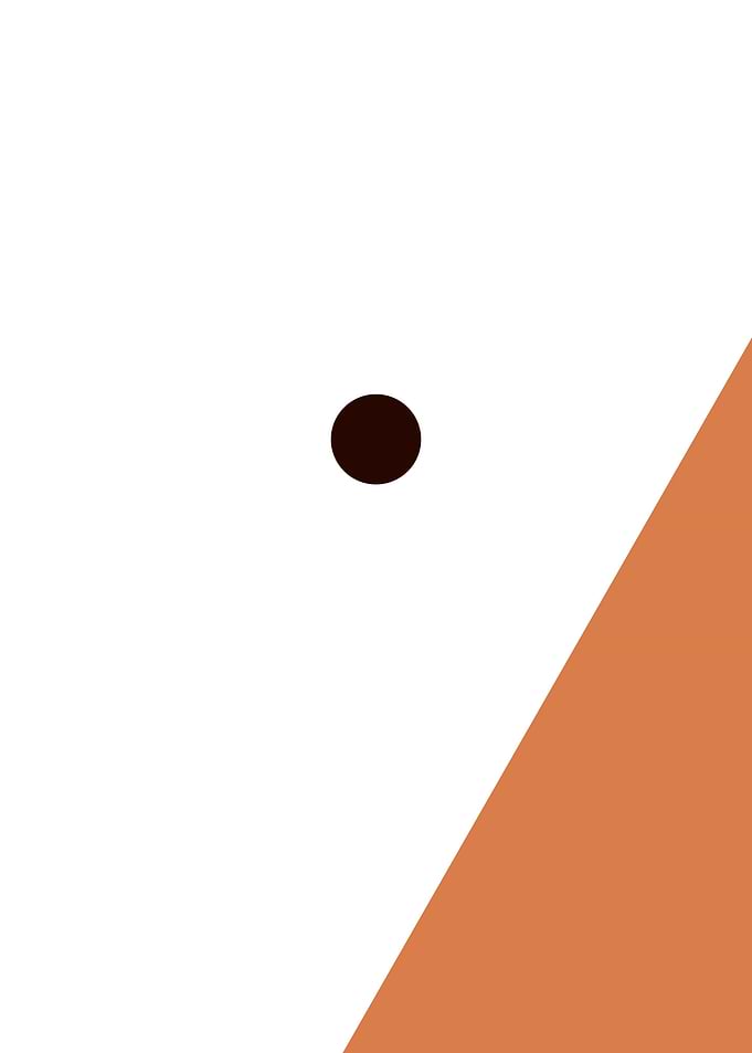 Geometric Minimal