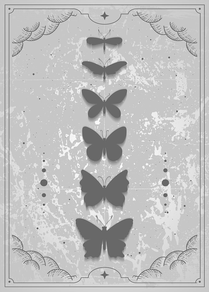 Monarch Butterfly