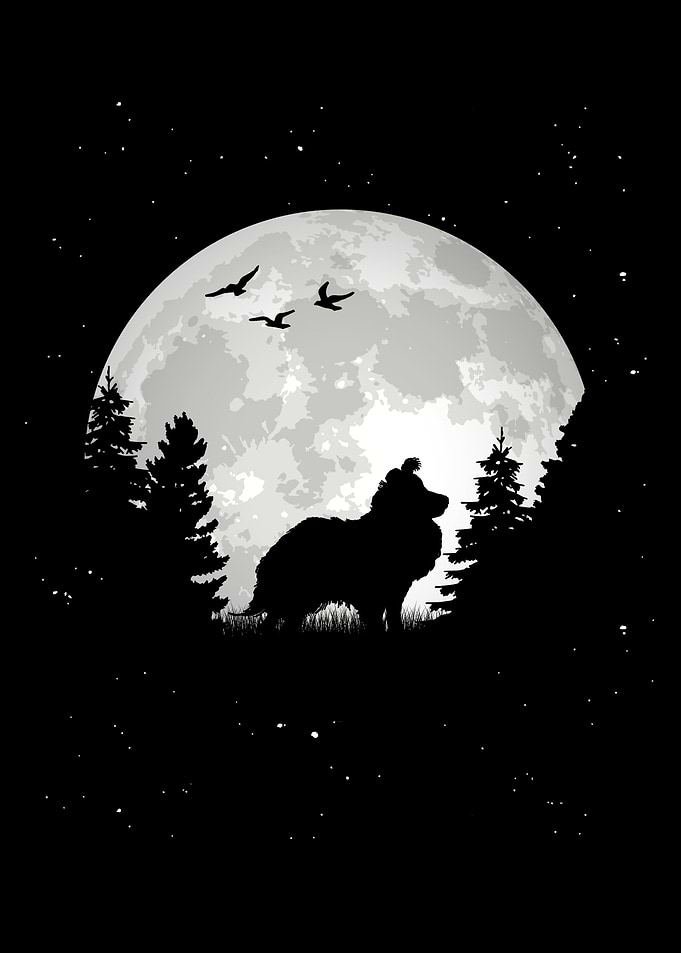 Sheltie Sheepdog Moon