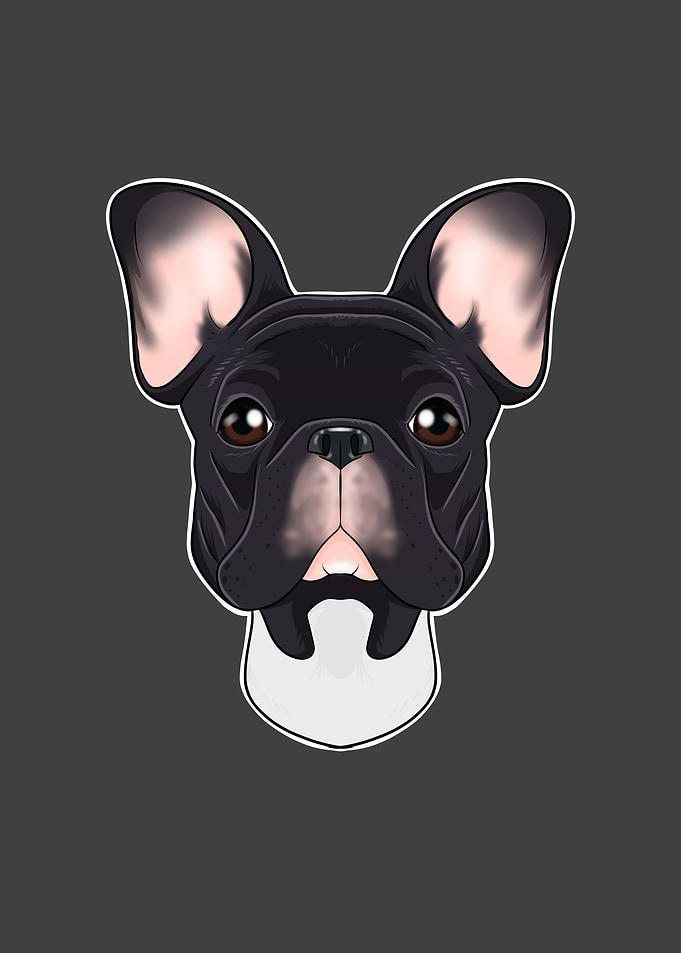 French Bulldog Lover I Dog