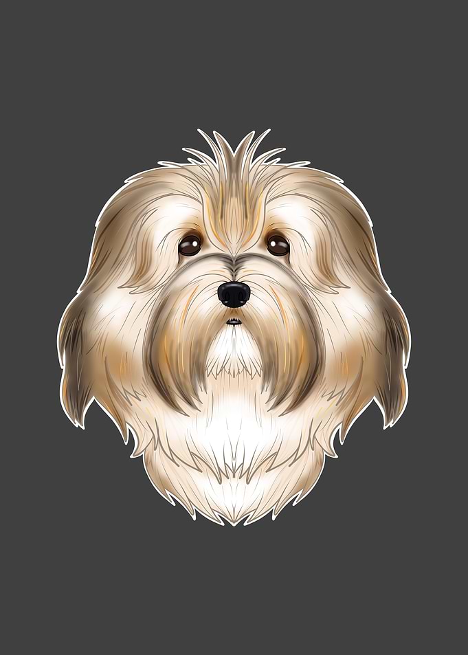 Havanese Lover I Dog Lover