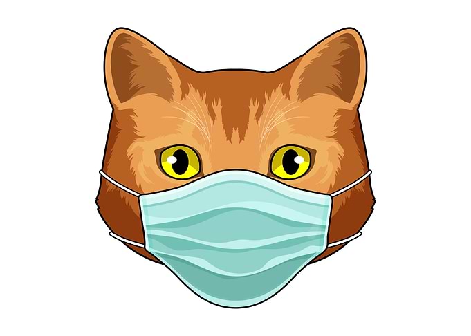 Cat Face mask