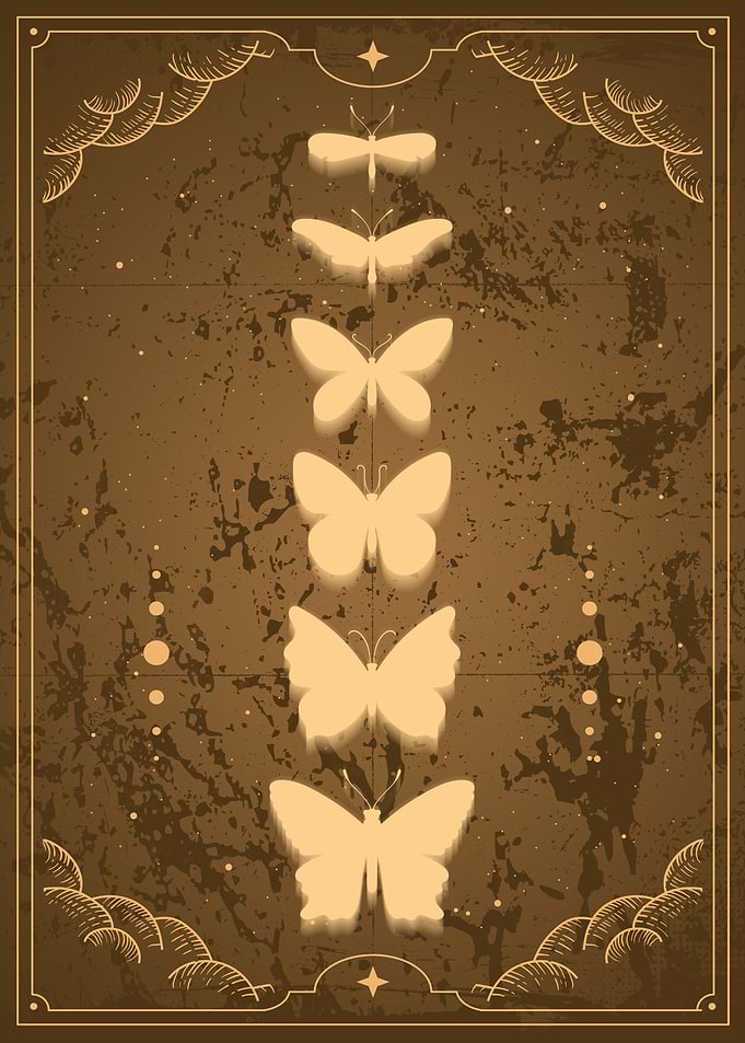 Monarch Butterfly