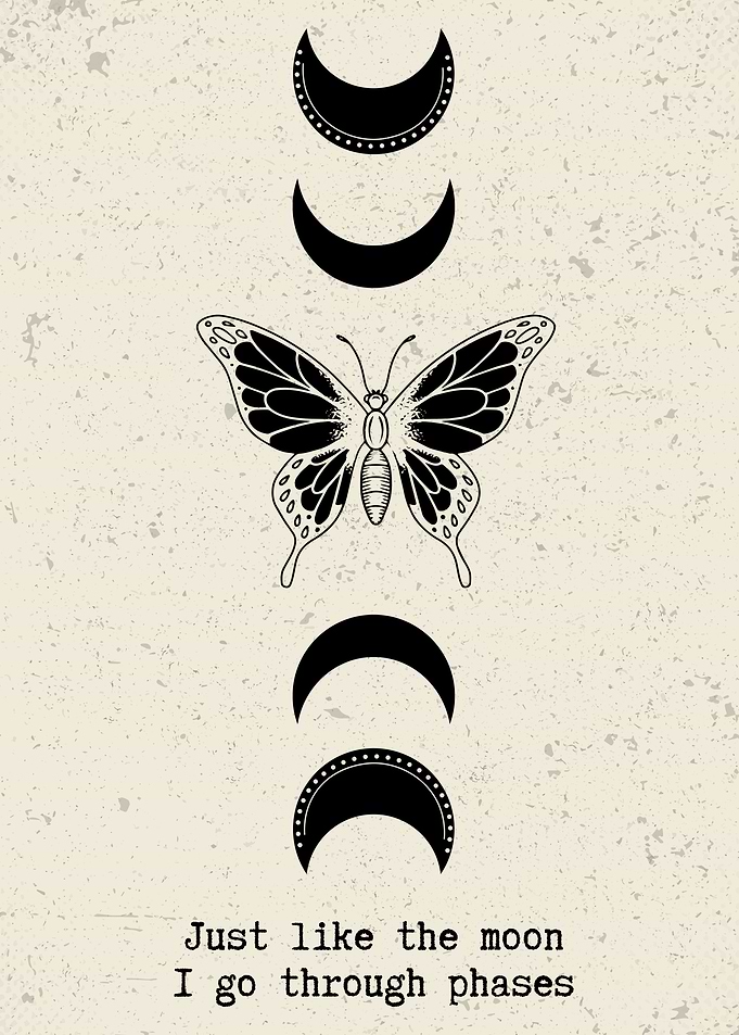 Monarch Butterfly