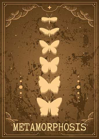 Monarch Butterfly