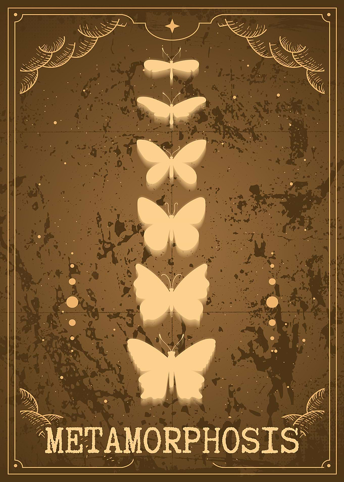 Monarch Butterfly
