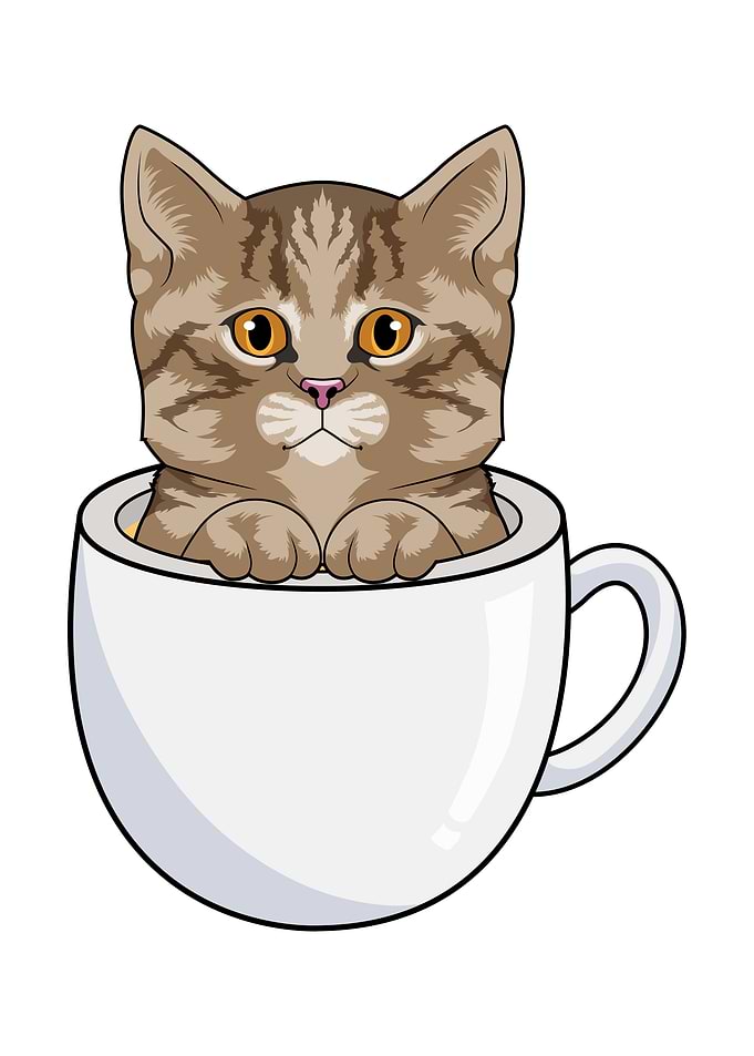 Cat Cup