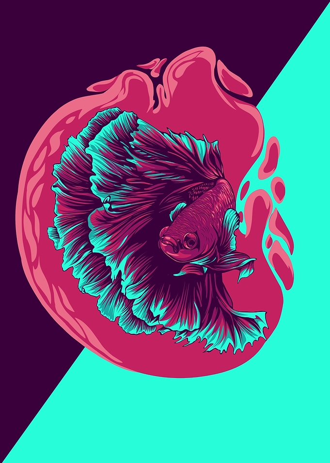 betta fish illustration