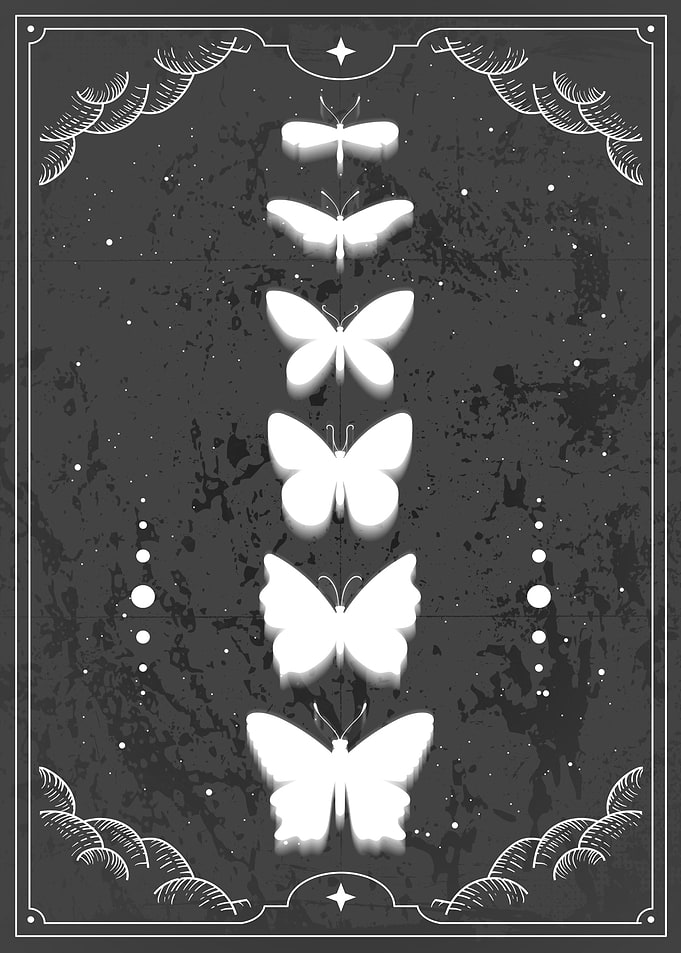 Monarch Butterfly