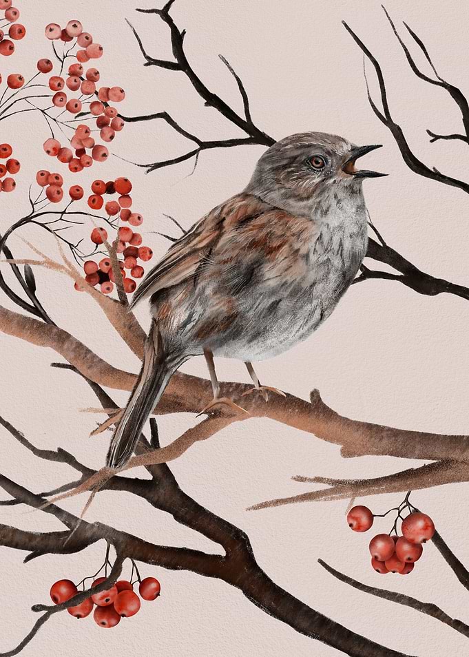 Winter bird perched