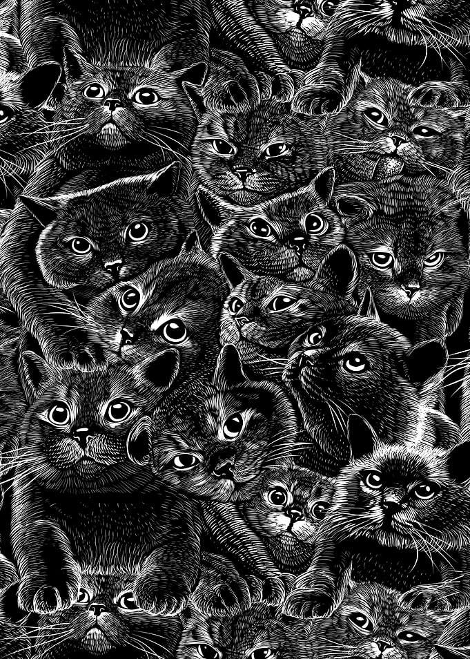 Adorable cats