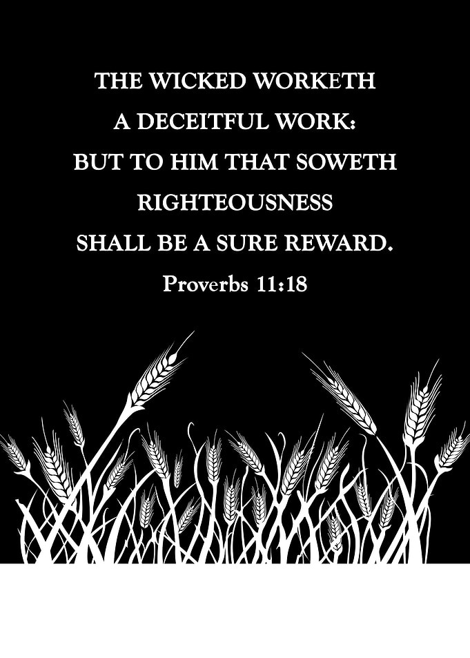 Proverbs 11 18