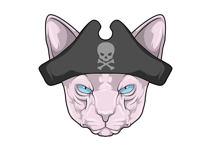 Cat Pirate Pirate hat