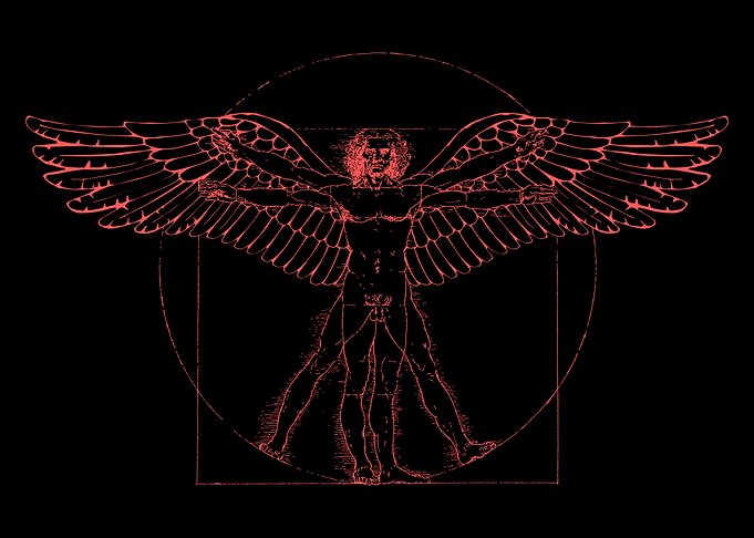 Vitruvian Man