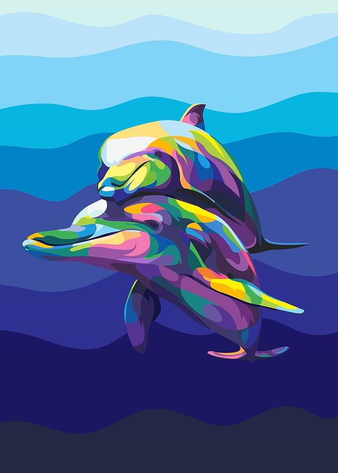 Love dolphin